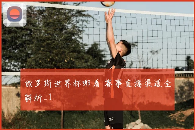 俄罗斯世界杯哪看 赛事直播渠道全解析_1