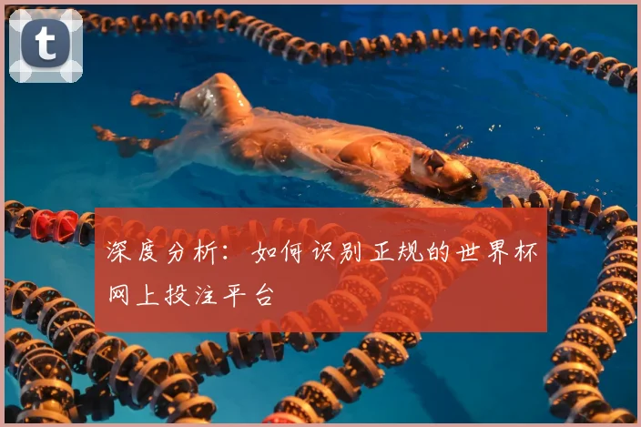 深度分析：如何识别正规的世界杯网上投注平台