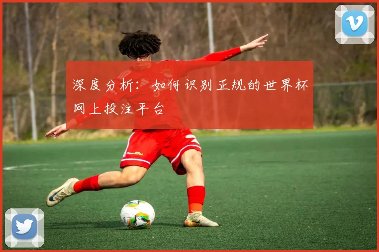 深度分析：如何识别正规的世界杯网上投注平台