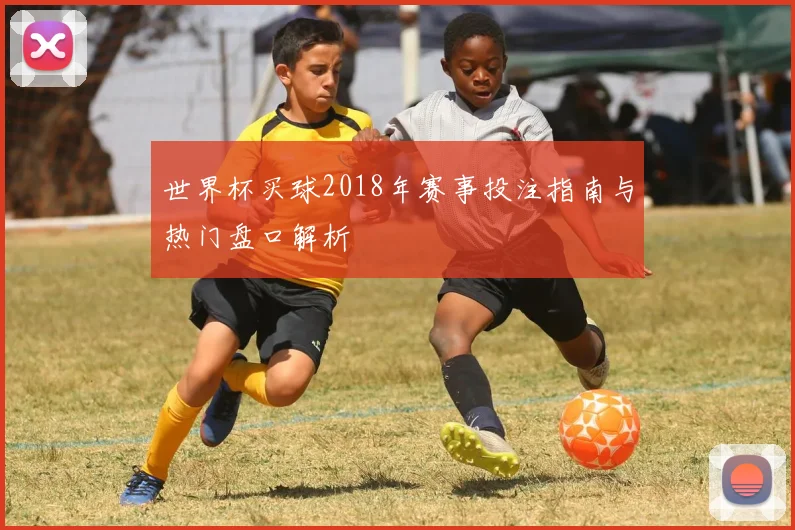 世界杯买球2018年赛事投注指南与热门盘口解析