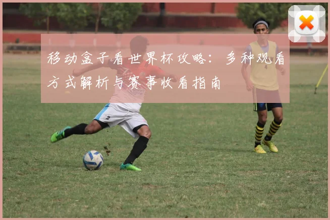 移动盒子看世界杯攻略：多种观看方式解析与赛事收看指南
