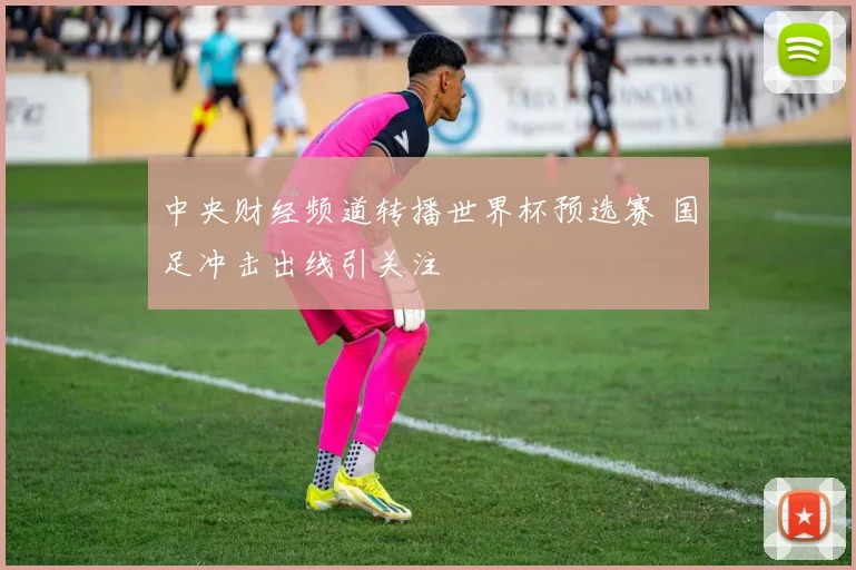 中央财经频道转播世界杯预选赛 国足冲击出线引关注