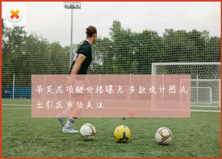 蒂芙尼项链价格曝光 多款设计图流出引发市场关注